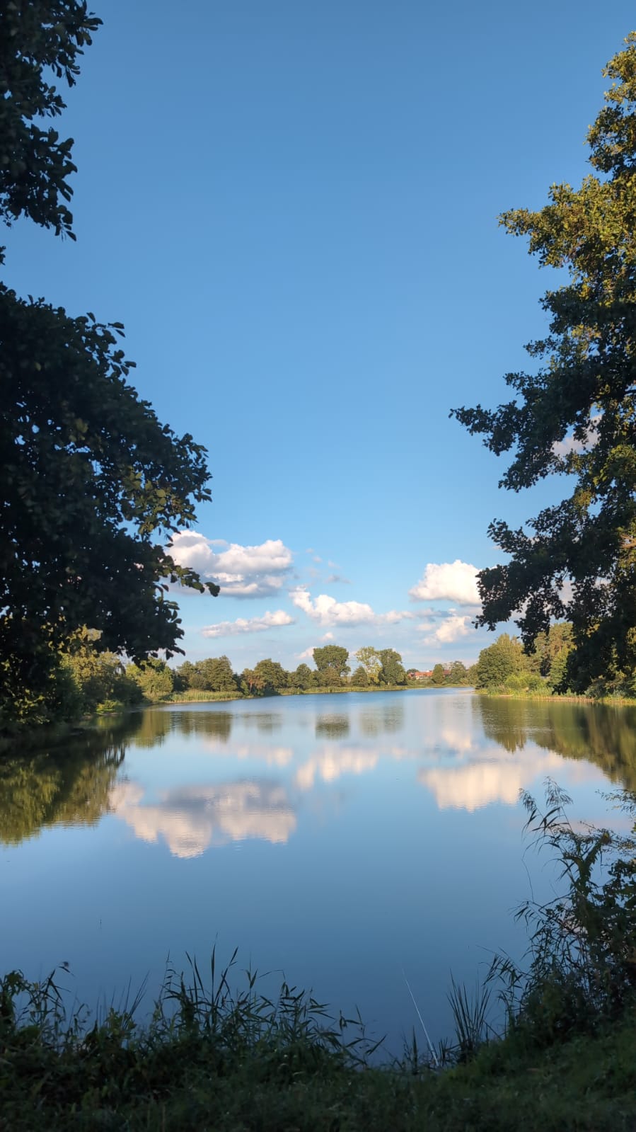 Jugendnachtangeln 2025